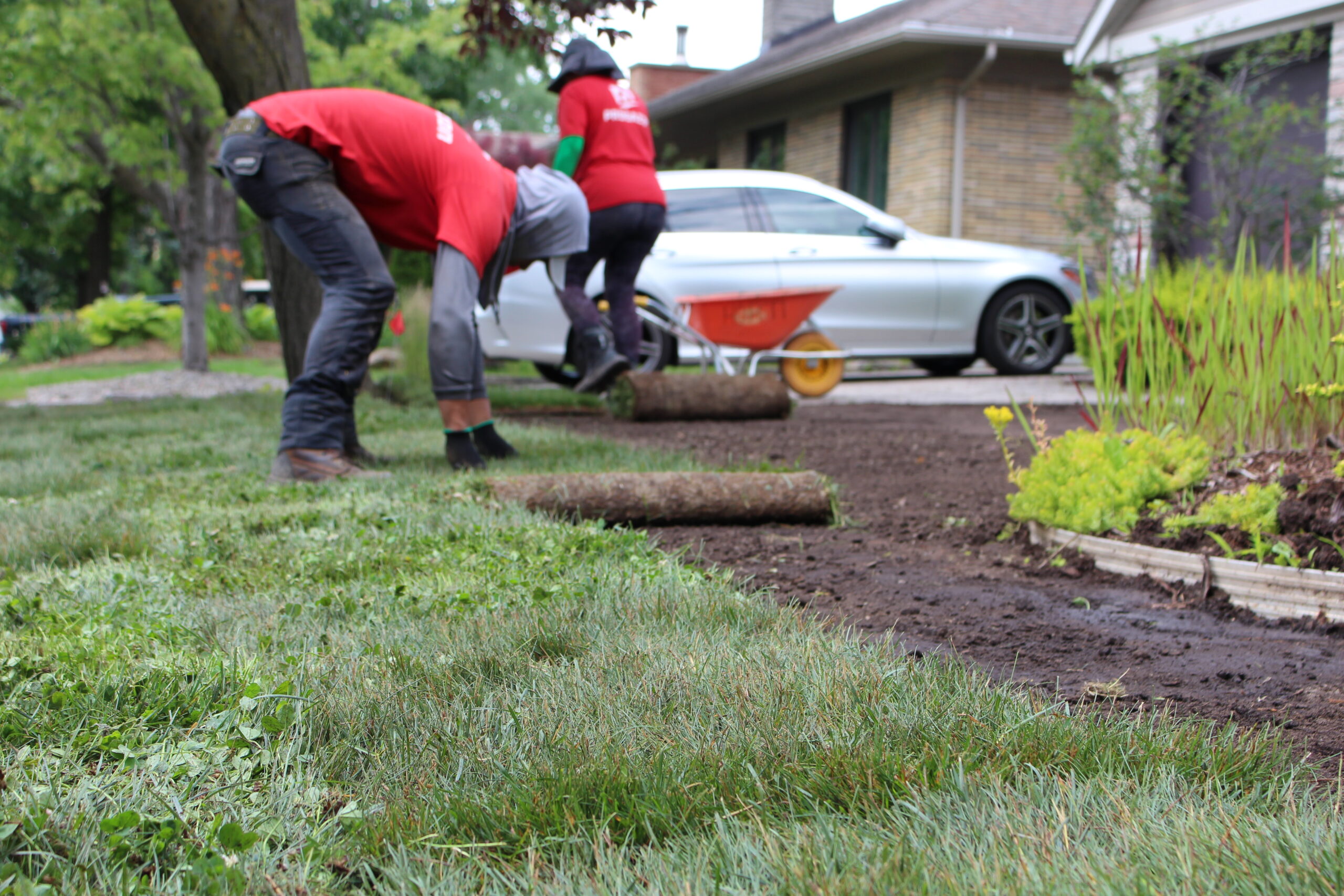 pose-de-tourbe-2025-05